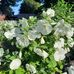 Ruth Kovacs - Facebook