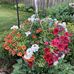 Ruth Kraus - Facebook
