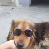 Ruth Kruger - @ruthkruger0 - TikTok