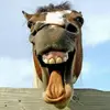 ruthkuipers215 - @ruthkuipers215 - TikTok