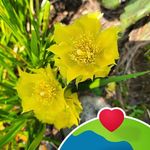 Ruth Ladd - @wetlandmom - Instagram