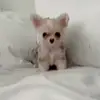 Ruth Lail - @ruth.lail50 - TikTok