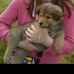 Ruth Rose Laing - Facebook
