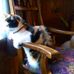 Ruth Langston - Facebook