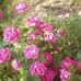 Ruth LaRue - Facebook
