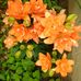 Ruth LaRue - Facebook
