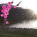 Ruth LaRue - Facebook