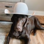 Hazel Ruth Lauer - @hazel._nutz - Instagram
