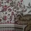 leo872470 - @ruthlaxpitz - TikTok