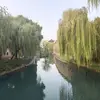 Rhea or Yuki - @ruth.lax3 - TikTok