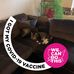 Ruth Levan - Facebook