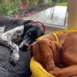 Ruth Lile - @ruth.lile.9 - Instagram