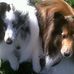 Ruth Lile - Facebook