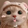 Lilly Ruth - @lilly.ruth6 - TikTok