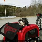 Ruth Lilly Antonsen - @ruthlillyantonsen - Instagram