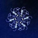 Ruth Lines - @ruthlines - Instagram