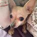 Ruth Link - Facebook
