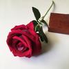 ruthlinn4 - @ruthlinn4 - TikTok