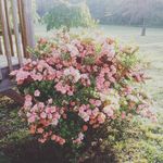 Ruth Loftin - @ruthann_l_l - Instagram