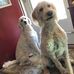 Ruth Loney - Facebook