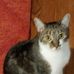 Ruth Lowery - Facebook