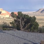 Ruth Lucey - @ruthlucey - Instagram