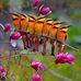 RuthAnn Lundgren - Facebook