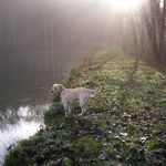 Ruth Lyon - @ruth.lyon.75 - Instagram