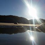 Ruth MacDougall - @macdougallruth - Instagram