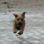 Ruth Macdougall - @ruth.macdougall - Instagram