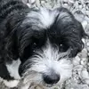 Ruth Mackenzie - @ruth.mackenzie4 - TikTok