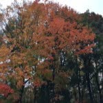 Ruth Mannes - @ruthmannes - Instagram
