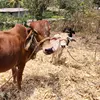 Ruth Marroquin - @ruth.marroquin20 - TikTok