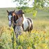 Ruth Anne Mast - @barefoot_horseloving_ten - TikTok