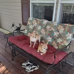 Ruth Masterson - @earl.masterson1 - Instagram