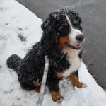 Ruth Masterson - @mastersonrm - Instagram