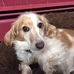 Ruth McCarty - Facebook