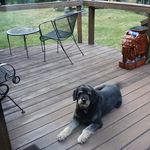 Ruth McCurry - @ruthmccurry - Instagram