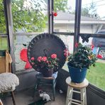 Ruth McDaniel - Facebook