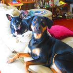 Ruth Mcdaniel - Facebook