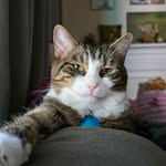 Ruth McDaniel - @welcome_to_the_cathouse - Instagram