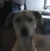 Ruth McDevitt - Facebook