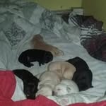Ruth McDevitt - @ruthmcdevitt67 - Instagram