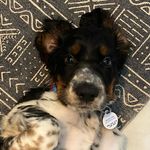 Ruth McDevitt - @ruthmc234 - Instagram