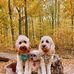 Ruth Mcghee - Facebook
