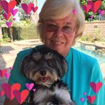 Ingrid McGuinness - @mcguinnesscarruth - Instagram
