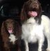 Ruth Mcguinness - Facebook