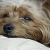 Ruth Mcguinness - Facebook
