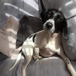 Ruth McMullen - @ruthmcm - Instagram