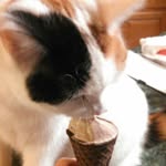 Marilyn Ruth McNabb - @marilynruthmcnabb - Instagram